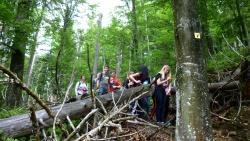 GIS-Projekt des Landgraf-Leuchtenberg-Gymnasiums Grafenau: Die 8. Klassen erstellten im Rahmen mit Hilfe von GPS-Geräten eigene Wanderkarten. Begleitet wurden sie von Nationalpark-Mitarbeiterin Karin Hartl.