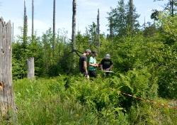 Lusenexkursion der Mittelschule Zwiesel: Die Klasse 8a erforschte ehemalige Borkenkäferflächen und ermittelt u.a. die Zahl der nachwachsenden Jungbäume. (Fotos: NPV Bayerischer Wald)