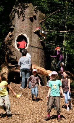 Es ist mal wieder soweit: Die überlebensgroße Spechthöhle auf dem Waldspielgelände sucht dringend wieder Nachmieter – auf dem siebten Spiegelauer Spechtfest