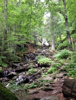 Im Höllbachgspreng (Foto: NPV Bayerischer Wald)