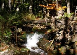 Wer malerische Herbststimmung am Sagwasser genießen und viel Wissenswertes über frühere Zeiten erfahren will, der sollte sich die Führung „Koide Supp’n-Zeit“ nicht entgehen lassen.