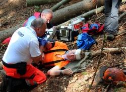 Waldarbeit im Nationalpark birgt trotz gebotener Vorsicht ein ernstzunehmendes Unfallrisiko. Rettungsübungen tragen hier zur Sicherheit bei.