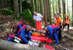 Arbeiten bei der Rettung Hand in Hand: die Integrierten Leitstellen, die Bergwacht, das BRK und der Nationalpark