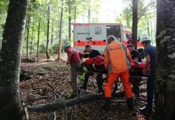 Dank regelmäßiger Rettungsübungen reicht die reibungslose Rettungskette auch bis in abgelegene Waldregionen des Nationalparks.