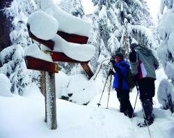 Nicht nur bei Touristen beliebt: Die weit überwiegende Mehrheit der Einheimischen ist der Auffassung, dass der Nationalpark Bayerischer Wald die Lebensqualität in der Region erhöht – und das zu jeder Jahreszeit. (Fotos: NPV Bayerischer Wald)