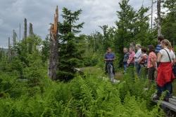 Nationalpark-Leiter Dr. Leibl im Gespräch mit Lehrern der Nationalpark-Schulen bei einem Waldbegang am Lusen. Bildautor: NPV