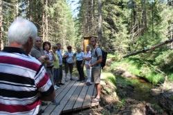 Nationalparkmitarbeiter Jan Vančura (rechts) zeigte den Nationalpark-Partnern den renaturierten Waldhüttenbach bei Spiegelau. Foto: NPV