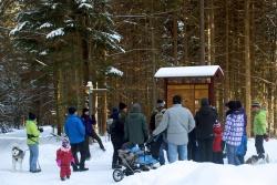 Am 26. Dezember startet das Weihnachtsferienprogramm der Nationalparkverwaltung Bayerischer Wald. Für Groß und Klein sind jede Menge Veranstaltungen geboten, die die Wintermüdigkeit vergessen lassen. Bild(er): NPV BW