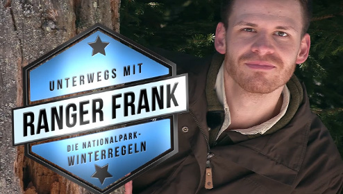 Portraitbild von Ranger Frank vor einem Baumstamm