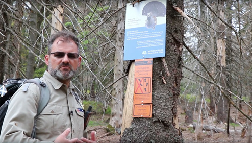 Ranger Lothar Mies im winterlichen Nationalpark