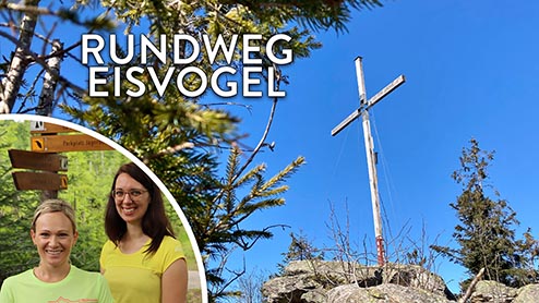 Externer Link zum Video über den Rundweg Eisvogel