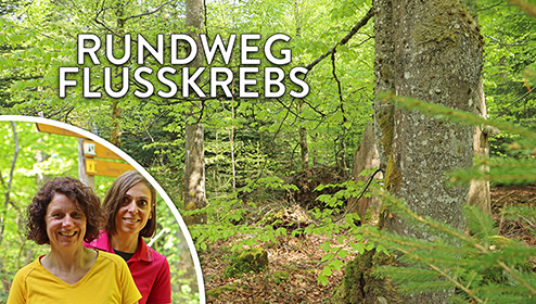 Die Ferienregion-Mitarbeiterinnen Simone und Sabrina im Frühlingswald