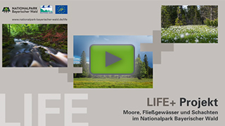 Placeholder image for the Life + project