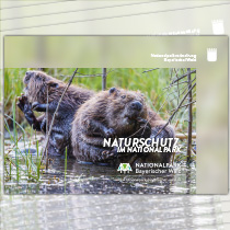 Titelbild der Broschüre Naturschutz im Nationalpar