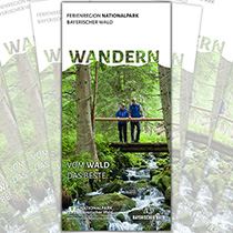 Zwei Wanderer stehen auf einer Holzbrücke im Wald und schauen in einen steinigen Bach