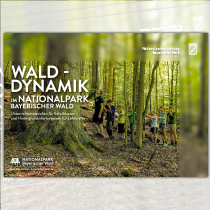 Walddynamik im Nationalpark Bayerischer Wald