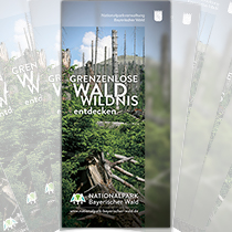 Faltblatt Grenzenlose Waldwildnis entdecken
