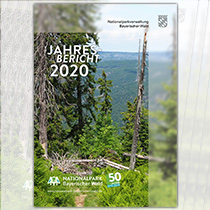 Jahresbericht 2020