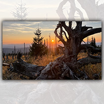 Sonnenuntergang in den Hochlagen - Foto: Sandra Schrönghammer
