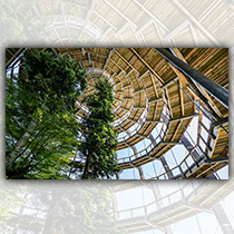 Baumwipfelpfad - Foto: Woidlife PhotographyW