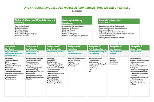 Organigramm der Nationalparkverwaltung Bayerischer Wald