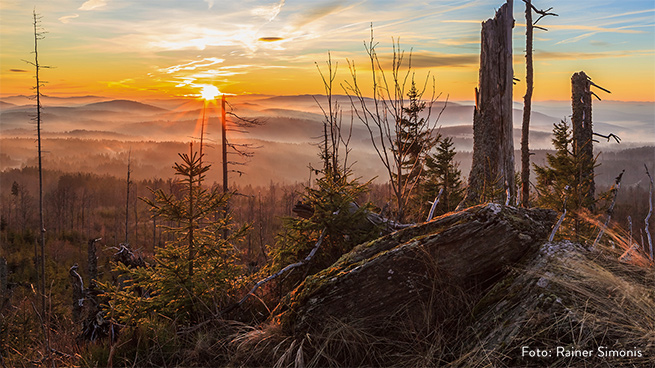 Wild nature is fascinating at any time of the day.